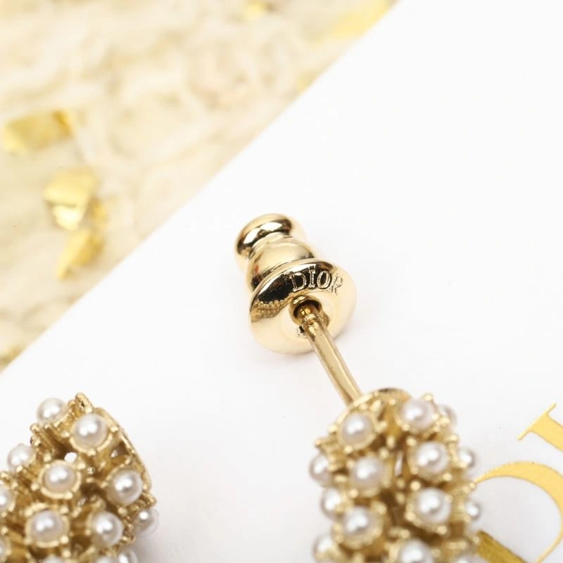 Christian Dior Earrings Stretchable 234480