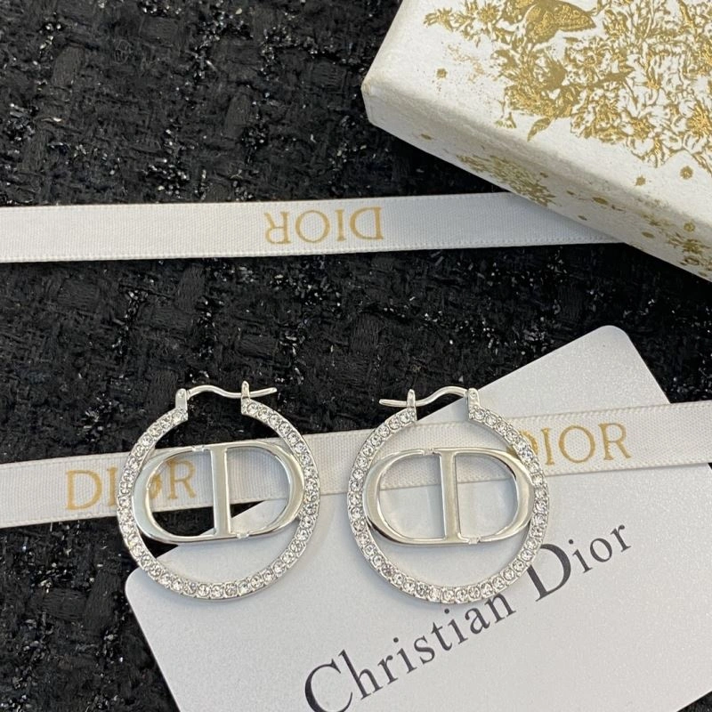 Christian Dior Earrings Affordable 234479