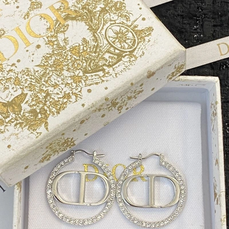 Christian Dior Earrings Affordable 234479