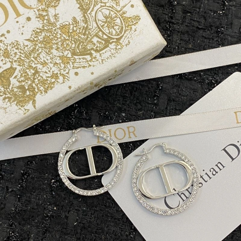 Christian Dior Earrings Affordable 234479