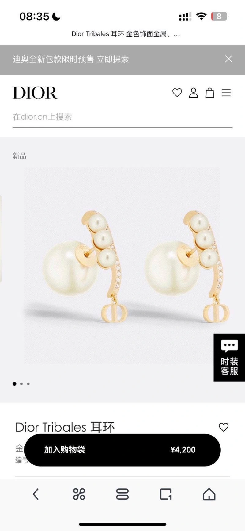 Christian Dior Earrings Upgraded 234473