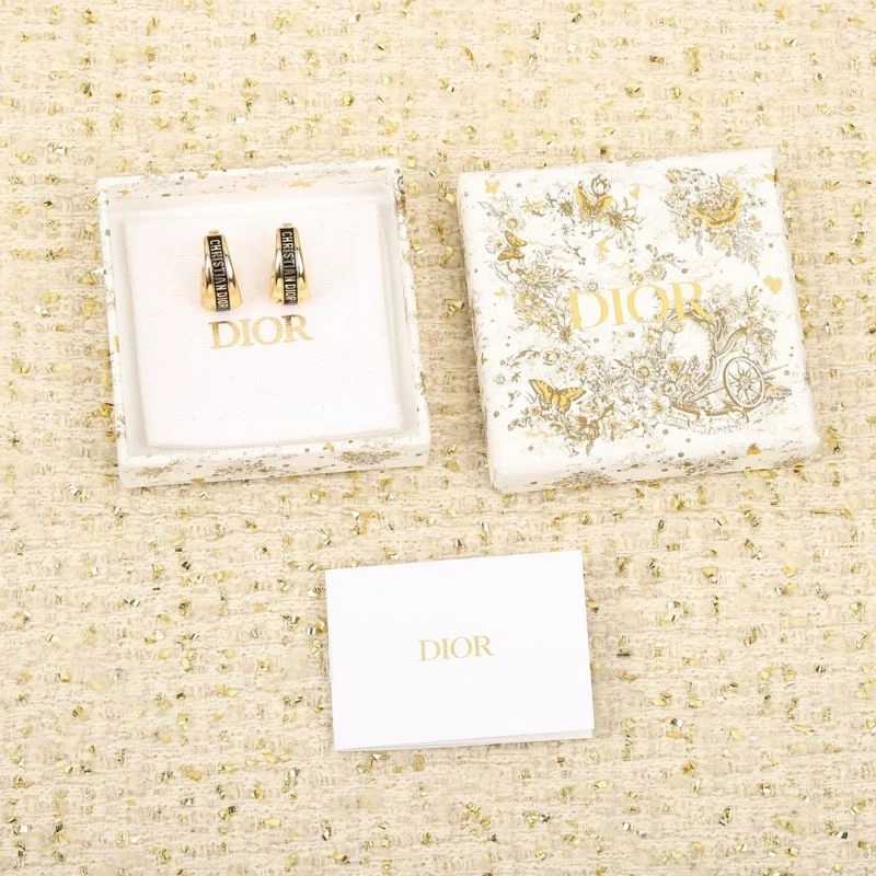 Durable Christian Dior Earrings 234470