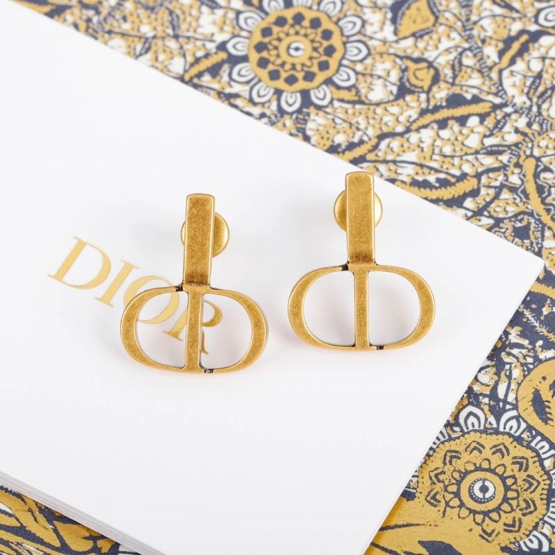 Christian Dior Earrings Sleek 234571