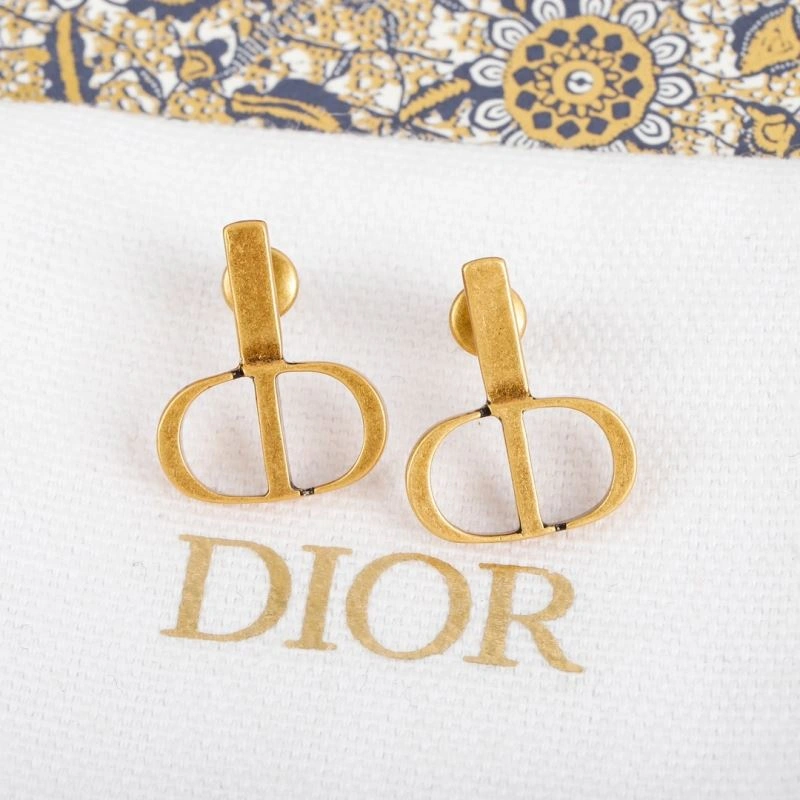 Christian Dior Earrings Sleek 234571