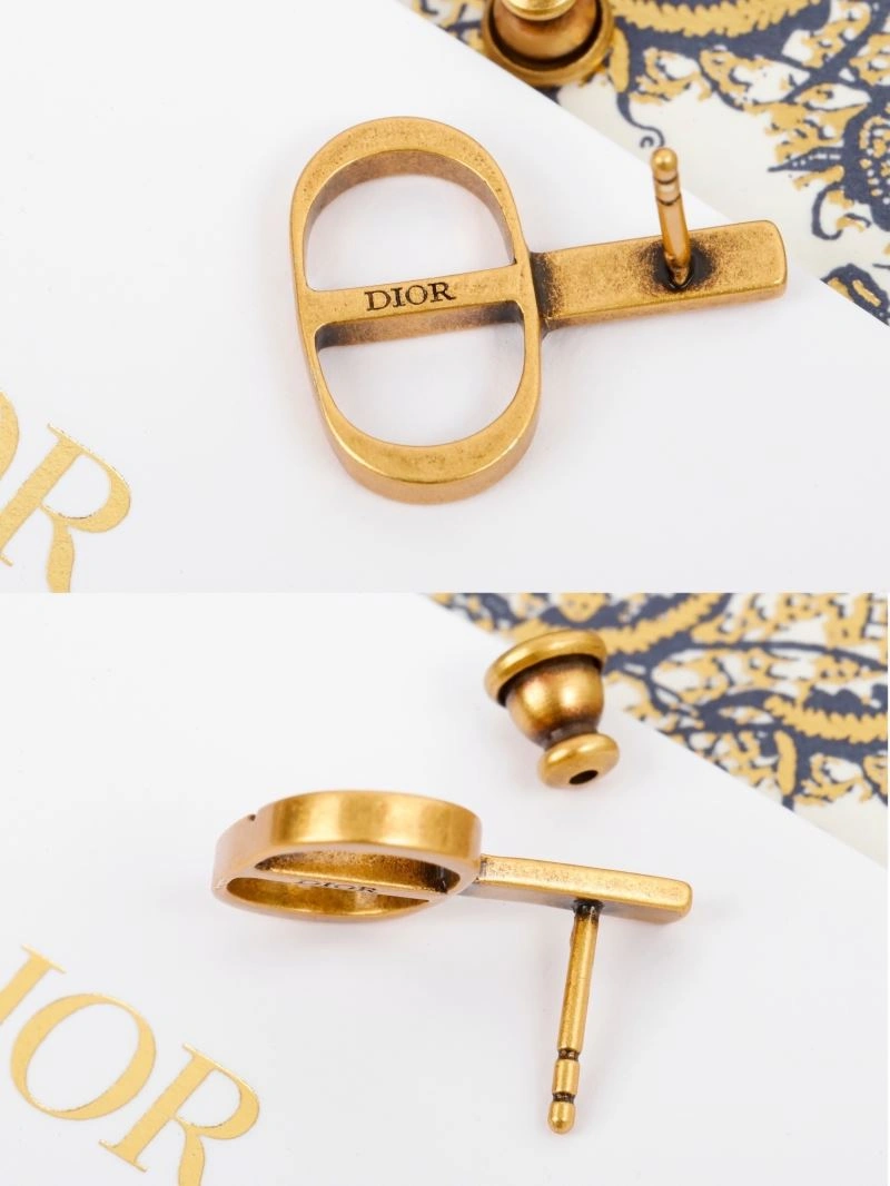 Christian Dior Earrings Sleek 234571