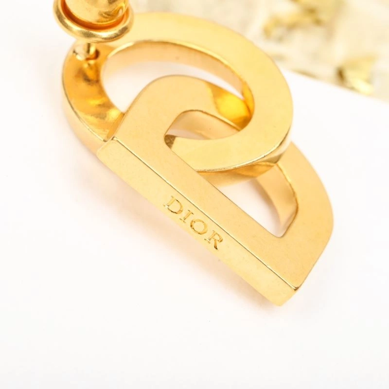 Christian Dior Earrings OdorResistant 234474