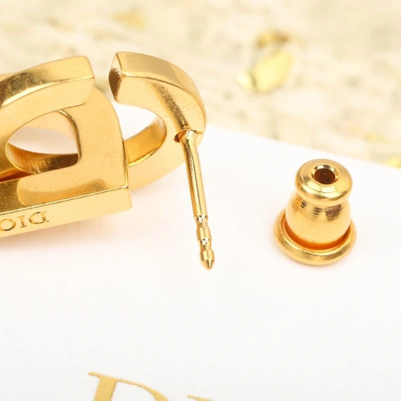 Christian Dior Earrings OdorResistant 234474