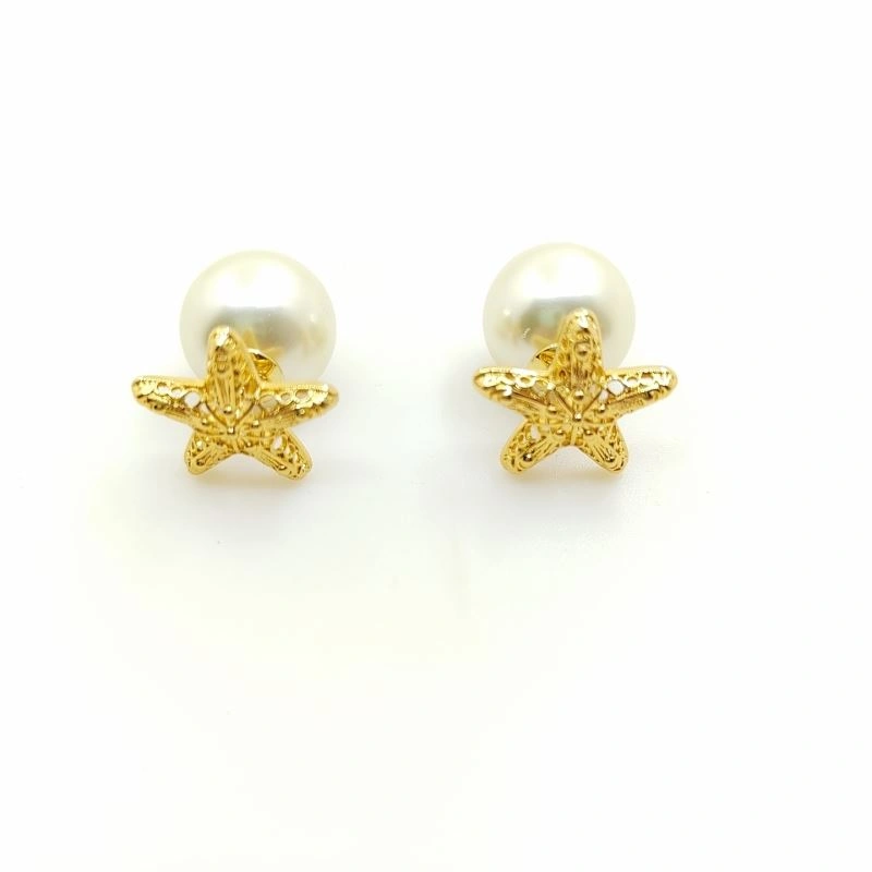 Thermal Christian Dior Earrings 234462