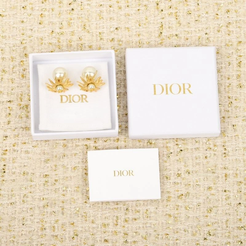 Christian Dior Earrings ZipUp 234466