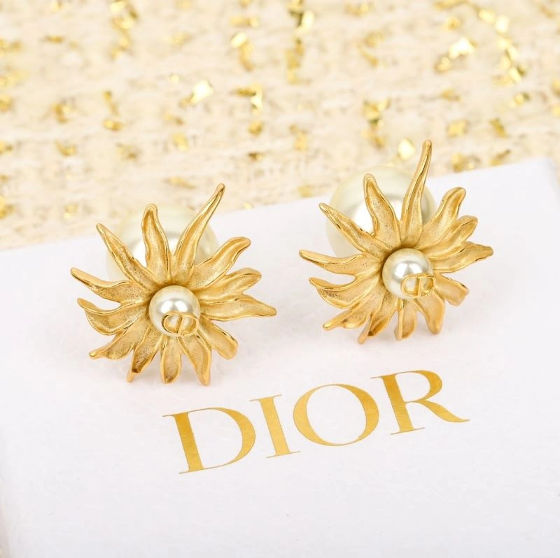 Christian Dior Earrings ZipUp 234466