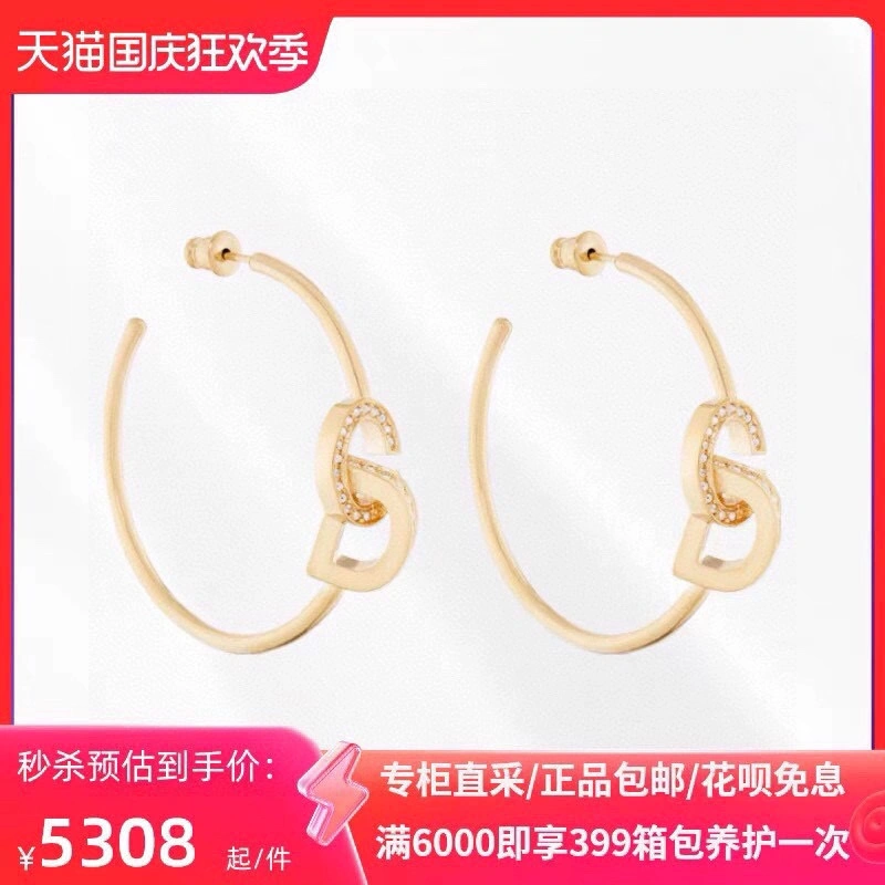 ModernLook Christian Dior Earrings 234440