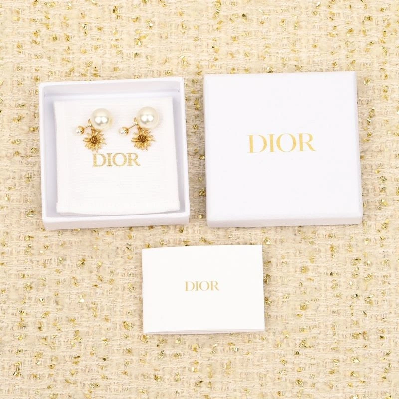 Contemporary Christian Dior Earrings 234435