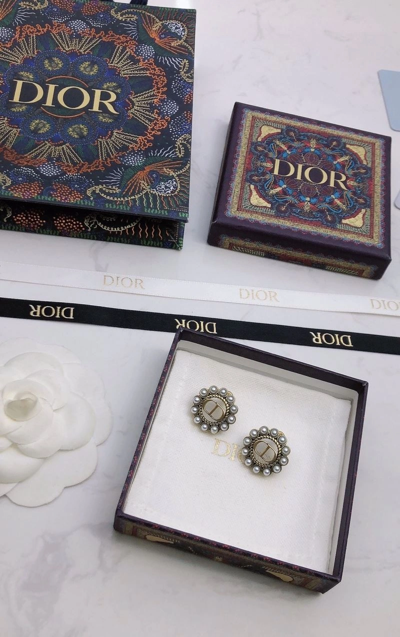 Christian Dior Earrings Affordable 234441