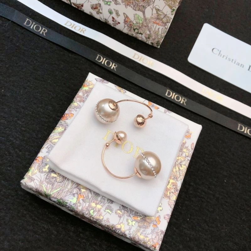 Christian Dior Earrings Chic 234503