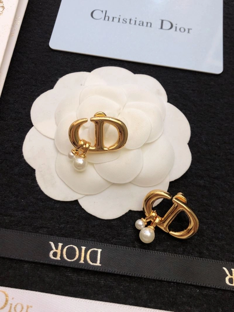 Christian Dior Earrings Affordable 234492