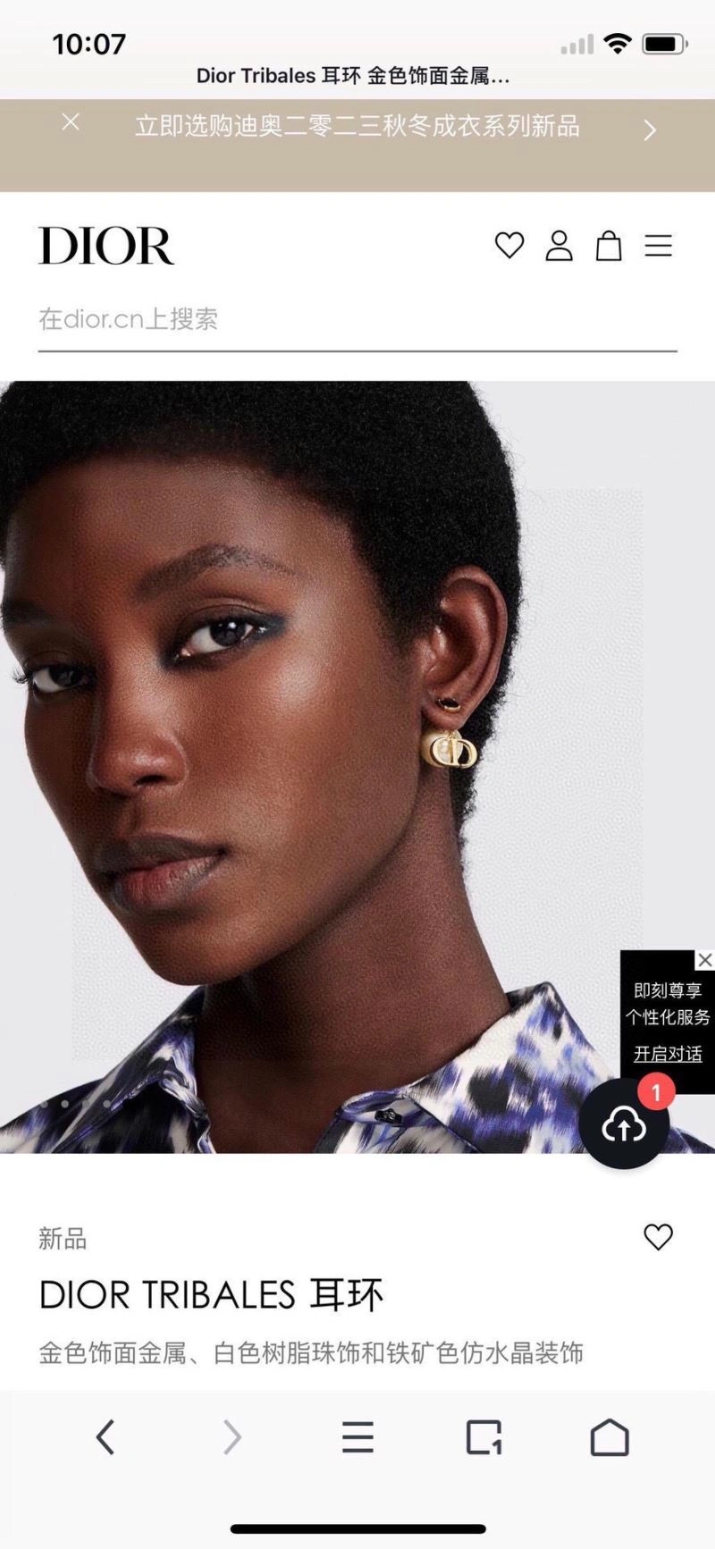 BestValue Christian Dior Earrings 234418