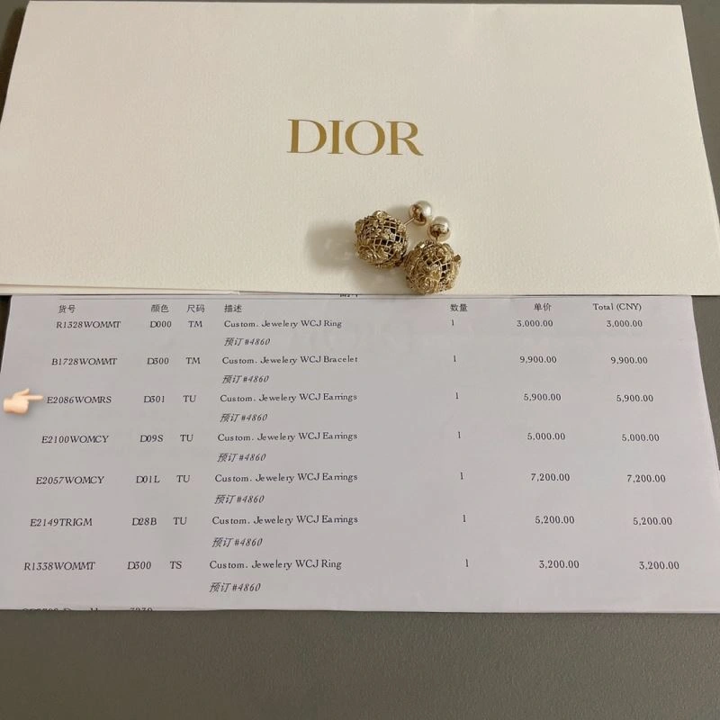 Christian Dior Earrings Flexible 234416