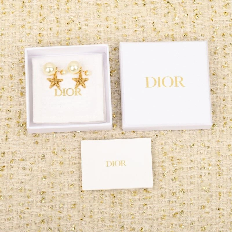 Christian Dior Earrings Premium 234234