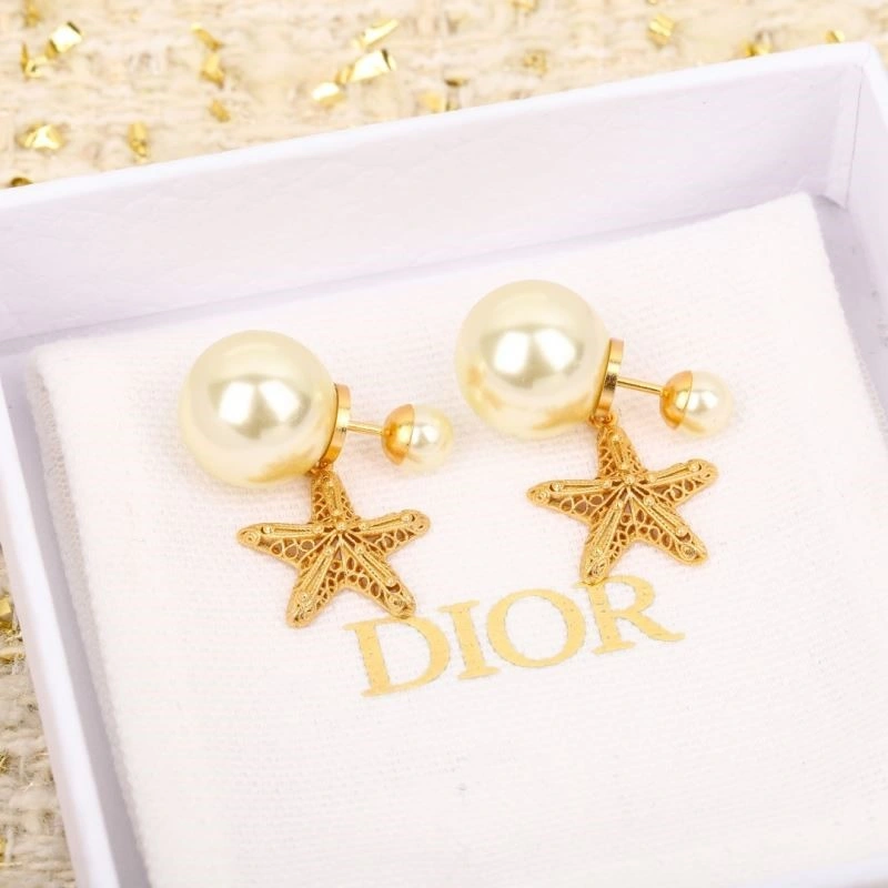 Christian Dior Earrings Premium 234234