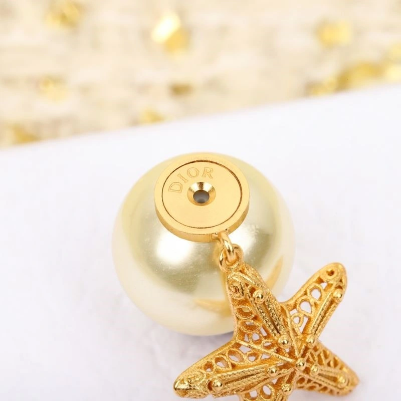 Christian Dior Earrings Premium 234234