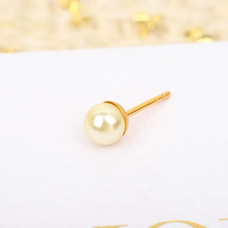 Christian Dior Earrings Premium 234234