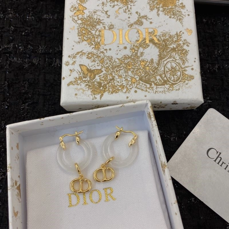 ZipUp Christian Dior Earrings 234287