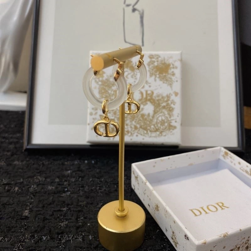 ZipUp Christian Dior Earrings 234287