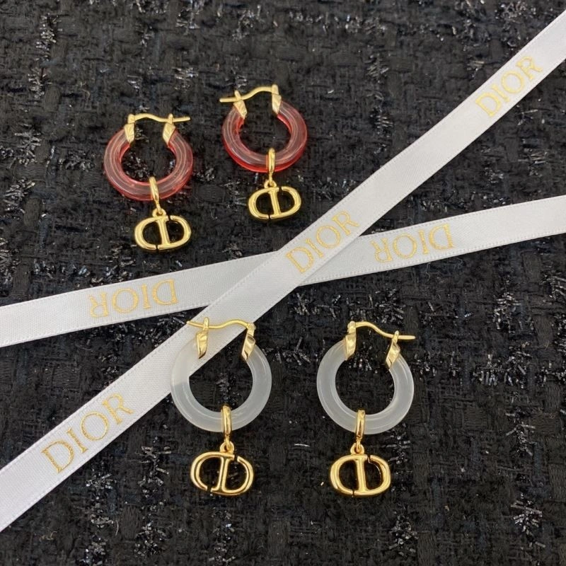 ZipUp Christian Dior Earrings 234287