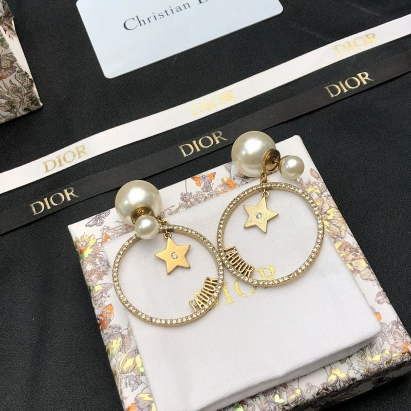 Attractive Christian Dior Earrings 234271