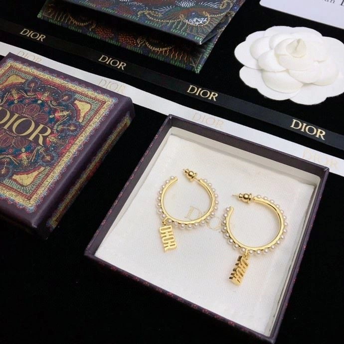 Casual Christian Dior Earrings 234230