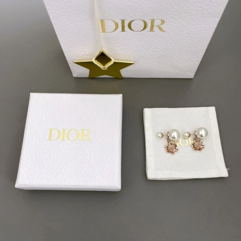 StreetReady Christian Dior Earrings 234215