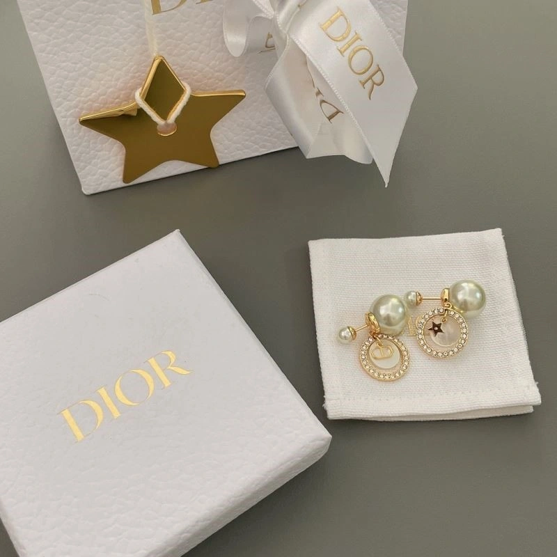 Christian Dior Earrings Premium 234212
