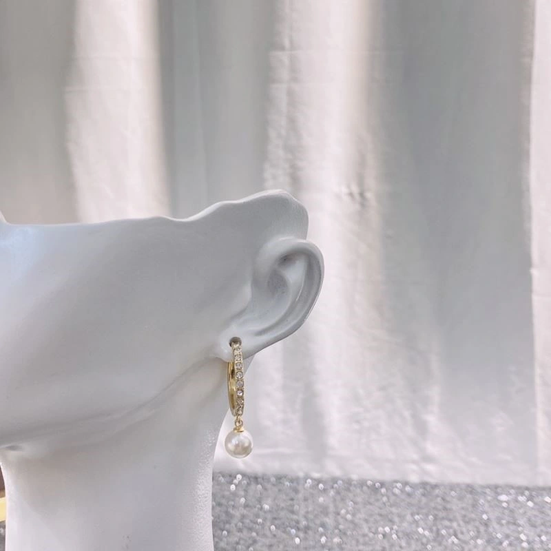 Christian Dior Earrings Breathable 234210