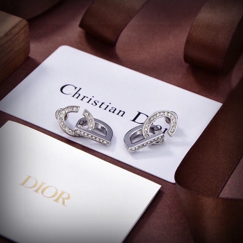 Soft Christian Dior Earrings 234202