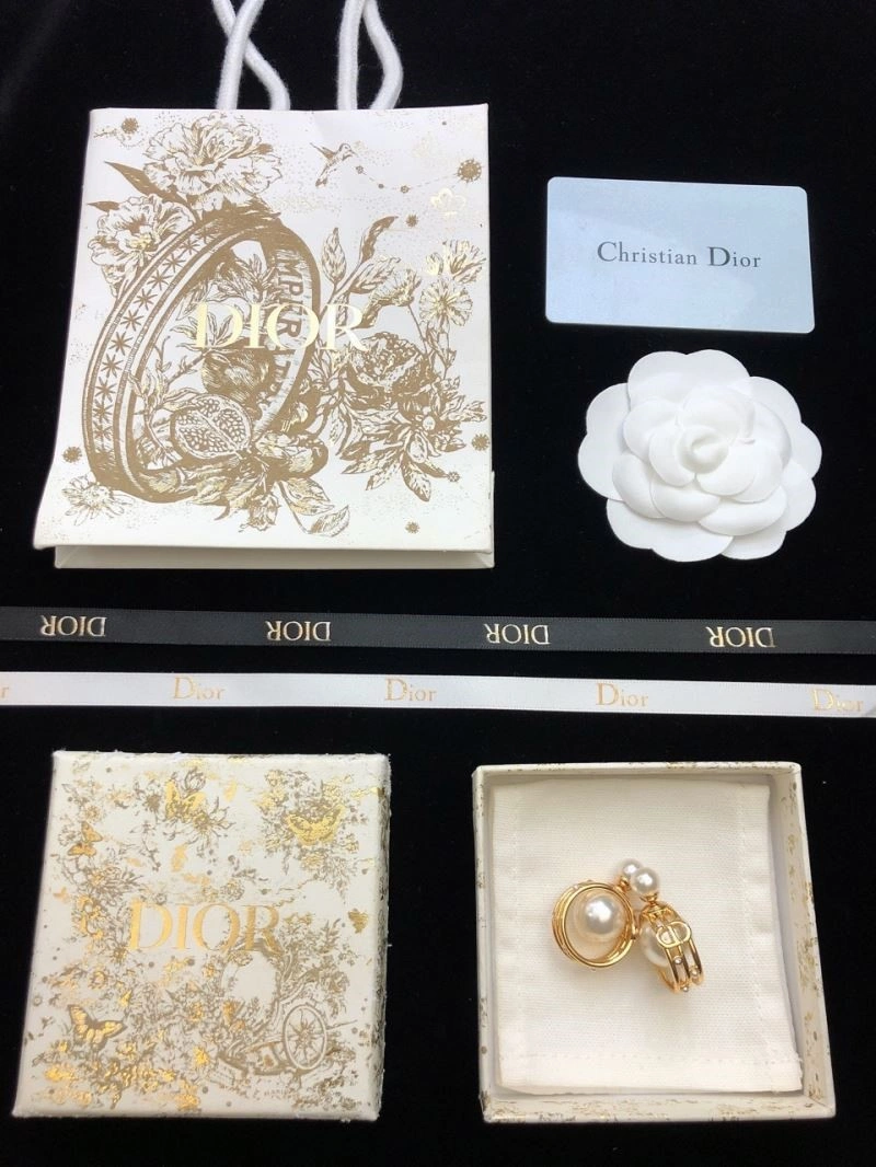 SmoothTexture Christian Dior Earrings 234186