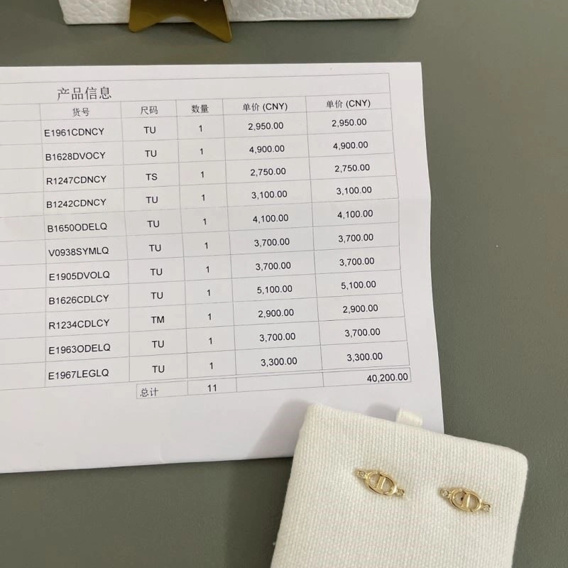 Stretchable Christian Dior Earrings 234179