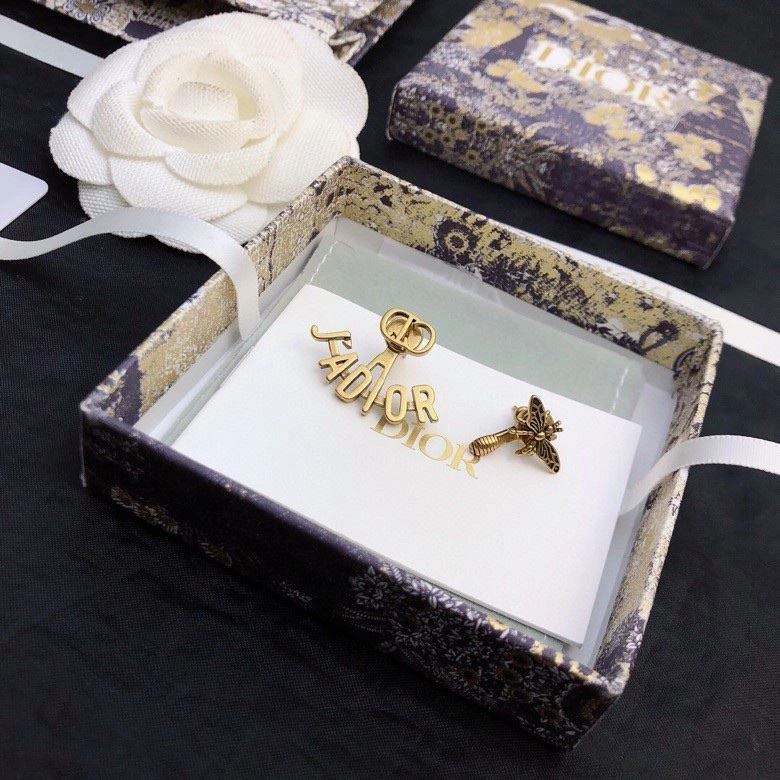 Colorful Christian Dior Earrings 234226