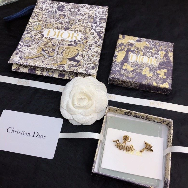 Colorful Christian Dior Earrings 234226