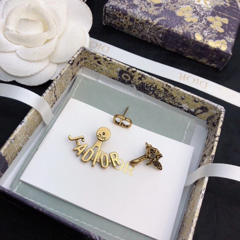 Colorful Christian Dior Earrings 234226