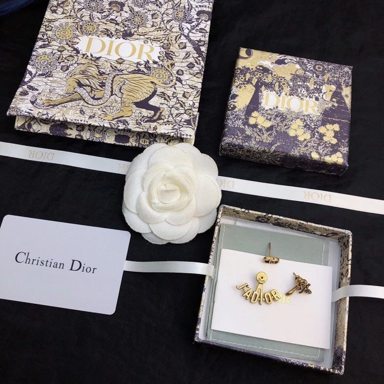 Colorful Christian Dior Earrings 234226