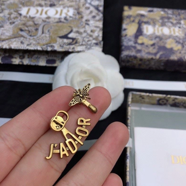 Colorful Christian Dior Earrings 234226