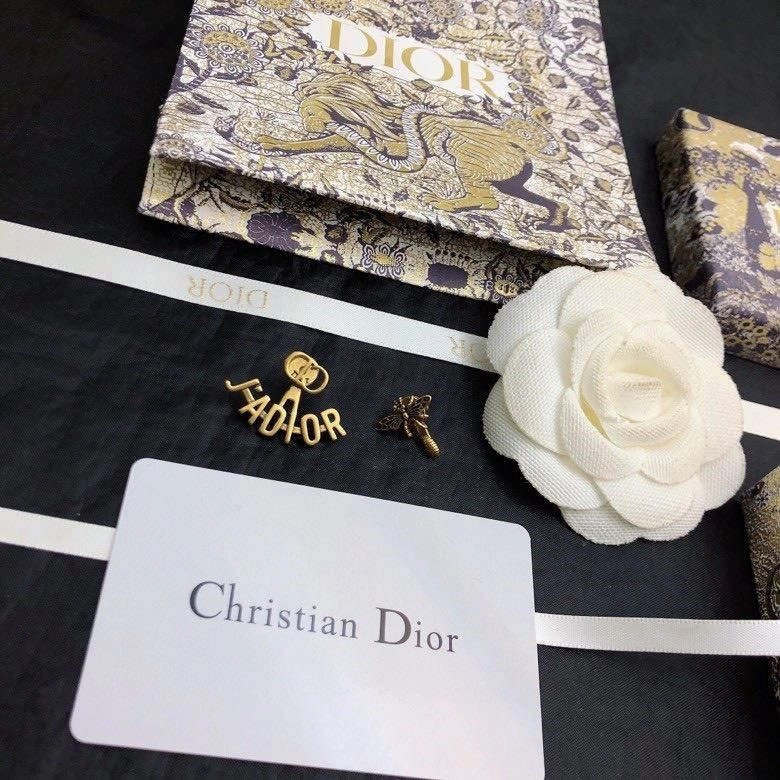Colorful Christian Dior Earrings 234226