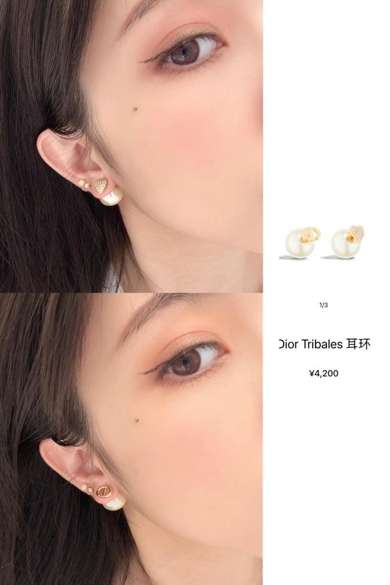 Classic Christian Dior Earrings 234168