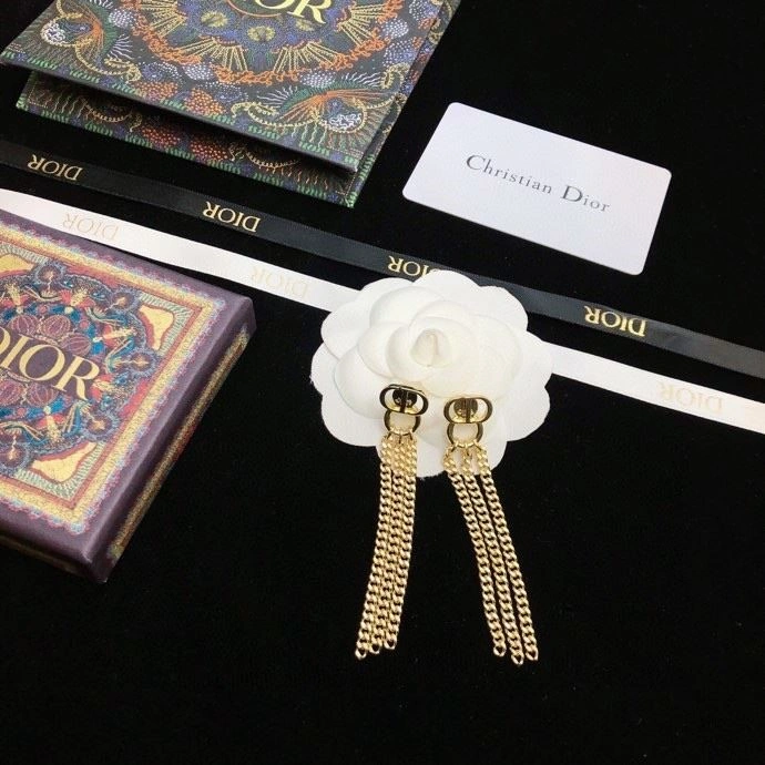 QuickDry Christian Dior Earrings 234174