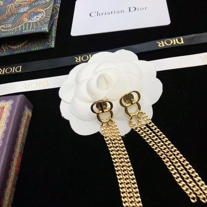 QuickDry Christian Dior Earrings 234174