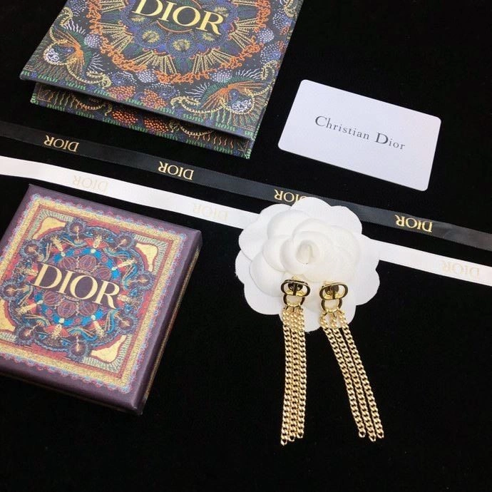 QuickDry Christian Dior Earrings 234174