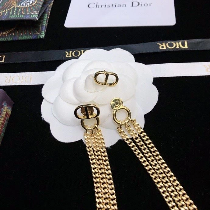 QuickDry Christian Dior Earrings 234174