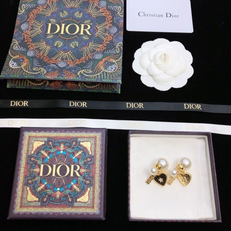 WellDesigned Christian Dior Earrings 234167