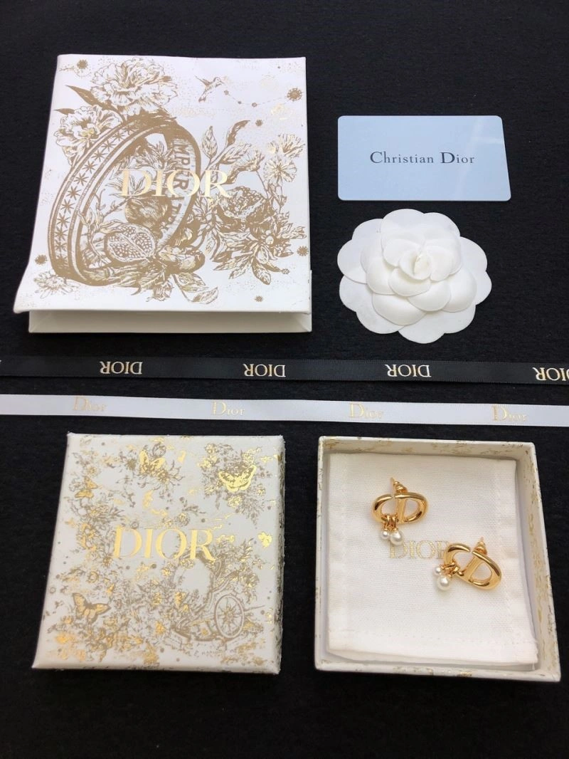 Breathable Christian Dior Earrings 234160