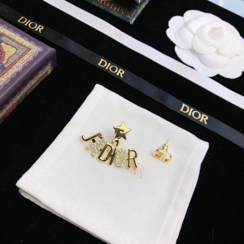 Christian Dior Earrings Trendy 234159